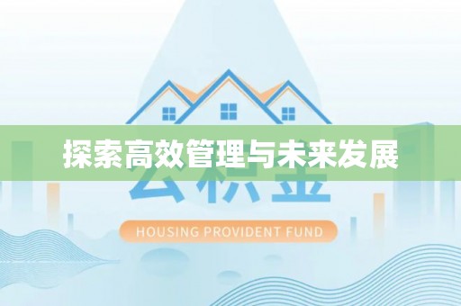 青阳探索高效管理与未来发展