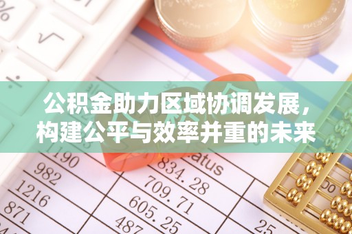 青阳公积金助力区域协调发展，构建公平与效率并重的未来
