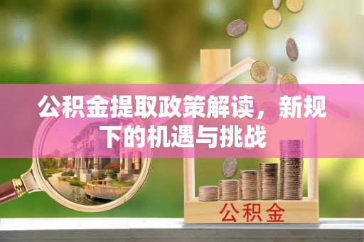 青阳公积金提取政策解读，新规下的机遇与挑战