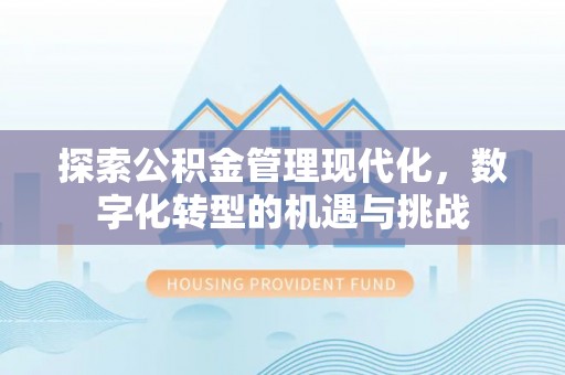 青阳探索公积金管理现代化，数字化转型的机遇与挑战