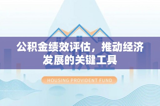 青阳公积金绩效评估，推动经济发展的关键工具