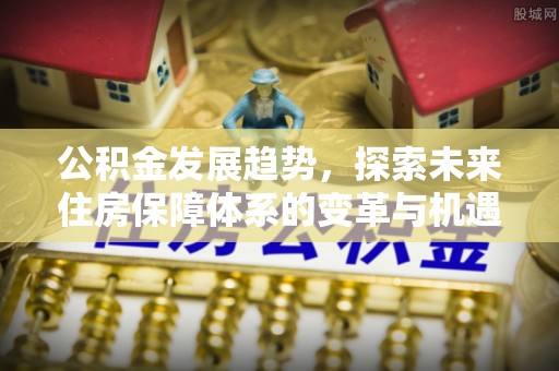 青阳公积金发展趋势，探索未来住房保障体系的变革与机遇