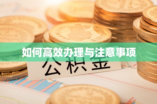 青阳如何高效办理与注意事项