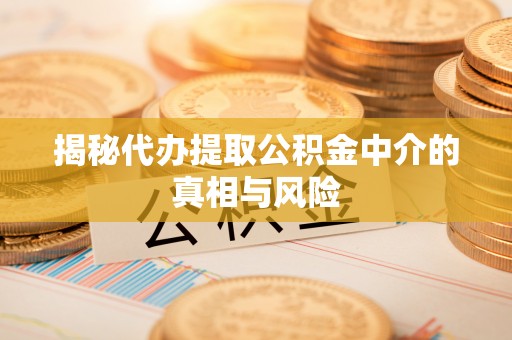 青阳揭秘代办提取公积金中介的真相与风险