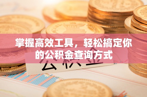 青阳掌握高效工具，轻松搞定你的公积金查询方式
