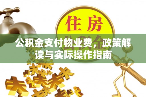 青阳公积金支付物业费，政策解读与实际操作指南