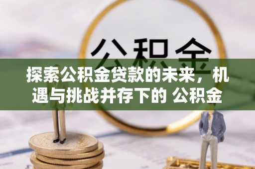 青阳探索公积金贷款的未来，机遇与挑战并存下的 公积金贷款风险防控