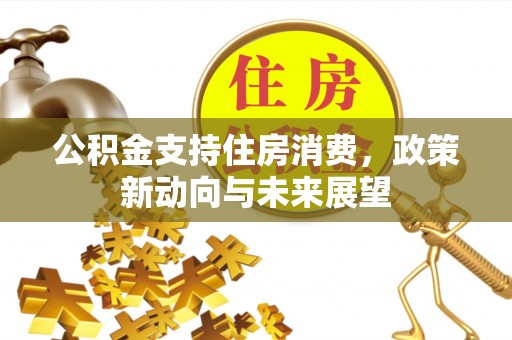 青阳公积金支持住房消费，政策新动向与未来展望