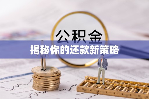 青阳揭秘你的还款新策略