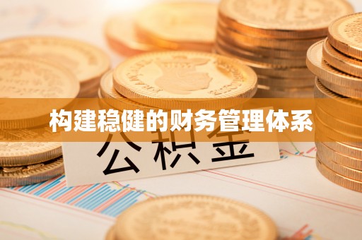 青阳构建稳健的财务管理体系