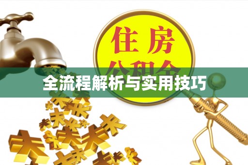 青阳全流程解析与实用技巧