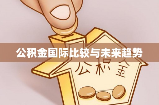 青阳公积金国际比较与未来趋势