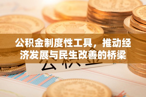 青阳公积金制度性工具，推动经济发展与民生改善的桥梁