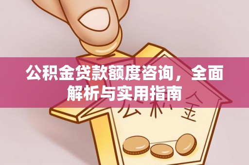 青阳公积金贷款额度咨询，全面解析与实用指南
