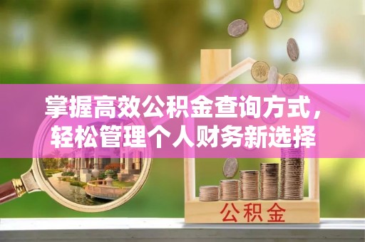 青阳掌握高效公积金查询方式，轻松管理个人财务新选择