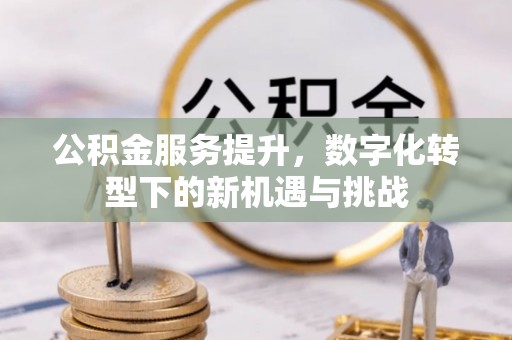 青阳公积金服务提升，数字化转型下的新机遇与挑战