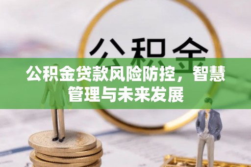青阳公积金贷款风险防控，智慧管理与未来发展