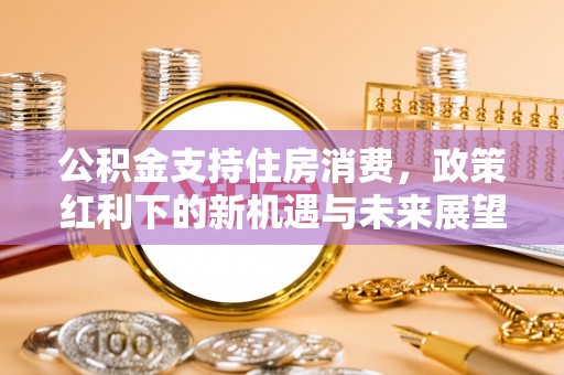 青阳公积金支持住房消费，政策红利下的新机遇与未来展望