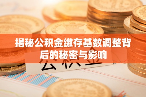 青阳揭秘公积金缴存基数调整背后的秘密与影响