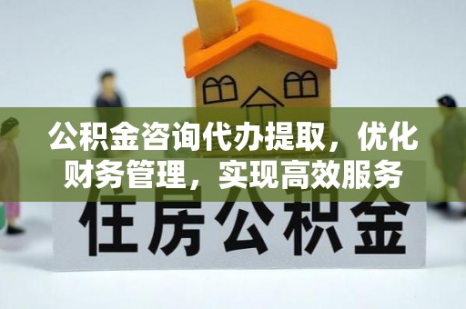 青阳公积金咨询代办提取，优化财务管理，实现高效服务