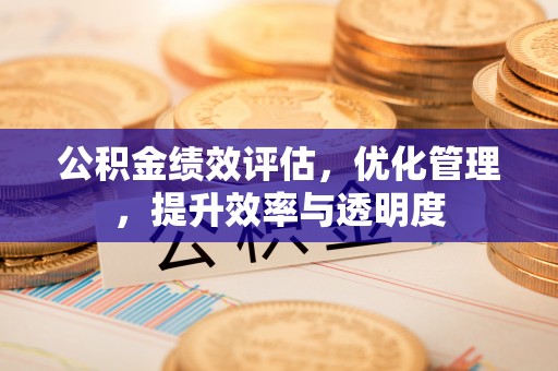 青阳公积金绩效评估，优化管理，提升效率与透明度