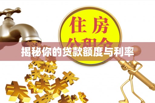 青阳揭秘你的贷款额度与利率