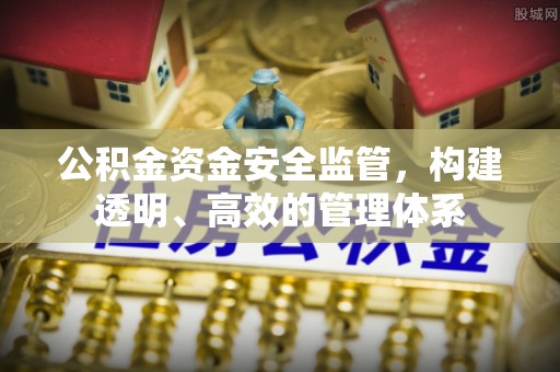 青阳公积金资金安全监管，构建透明、高效的管理体系