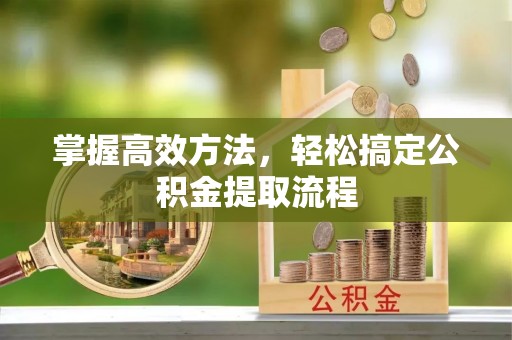 青阳掌握高效方法，轻松搞定公积金提取流程