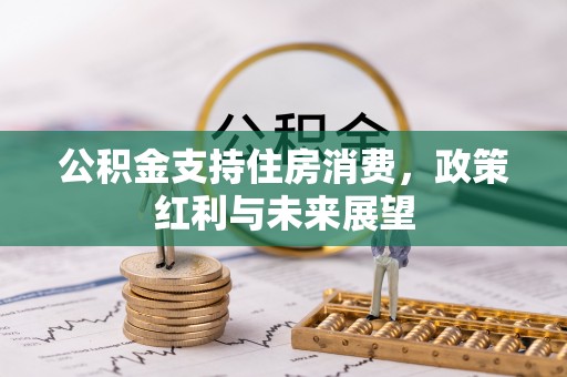 青阳公积金支持住房消费，政策红利与未来展望
