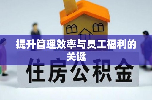青阳提升管理效率与员工福利的关键