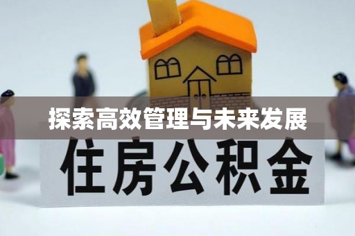 青阳探索高效管理与未来发展
