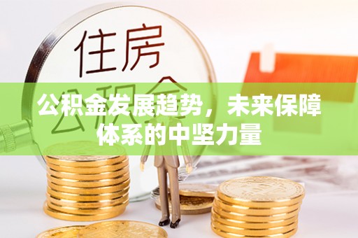 青阳公积金发展趋势，未来保障体系的中坚力量