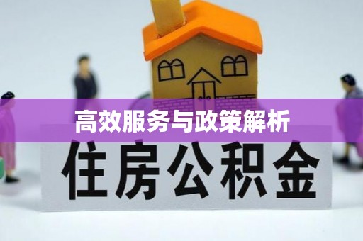 青阳高效服务与政策解析