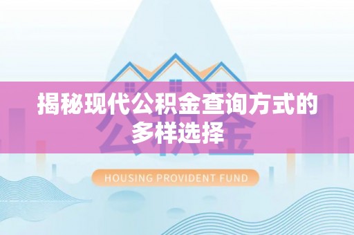 青阳揭秘现代公积金查询方式的多样选择