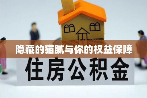 青阳隐藏的猫腻与你的权益保障