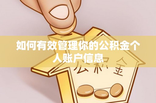 青阳如何有效管理你的公积金个人账户信息