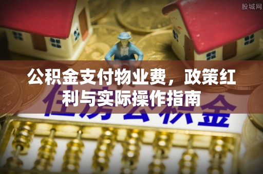 青阳公积金支付物业费，政策红利与实际操作指南