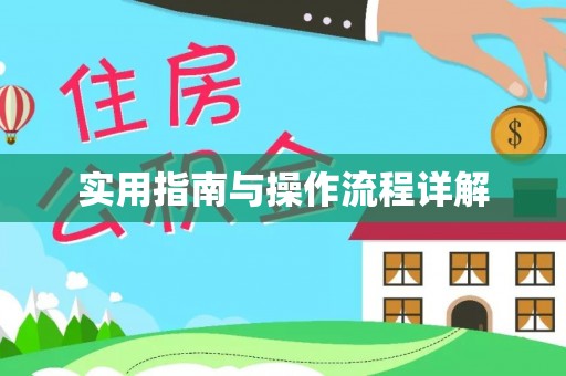 青阳实用指南与操作流程详解