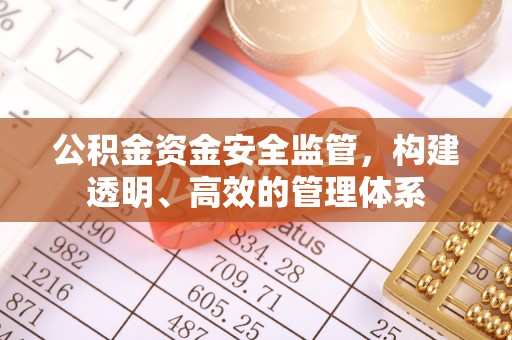 青阳公积金资金安全监管，构建透明、高效的管理体系