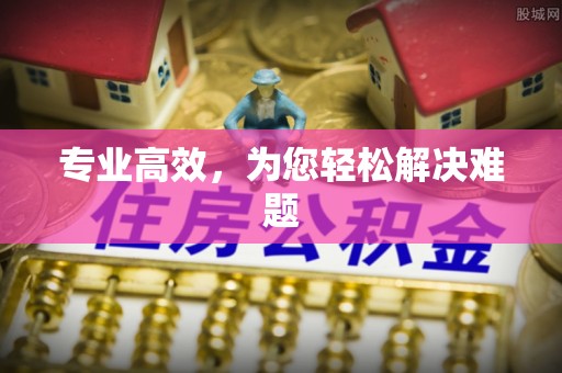 青阳专业高效，为您轻松解决难题