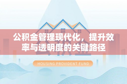 青阳公积金管理现代化，提升效率与透明度的关键路径