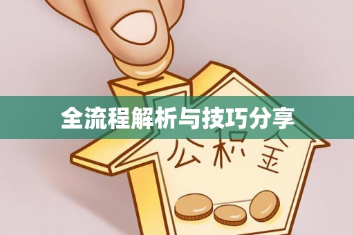 青阳全流程解析与技巧分享