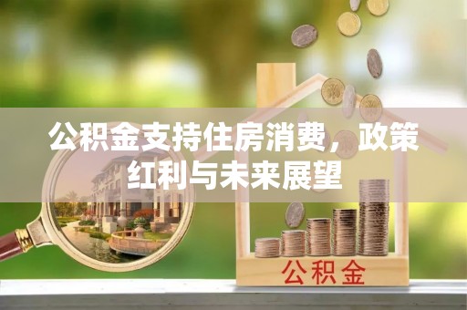 青阳公积金支持住房消费，政策红利与未来展望