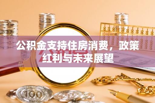 青阳公积金支持住房消费，政策红利与未来展望