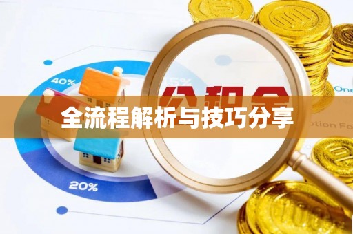 青阳全流程解析与技巧分享