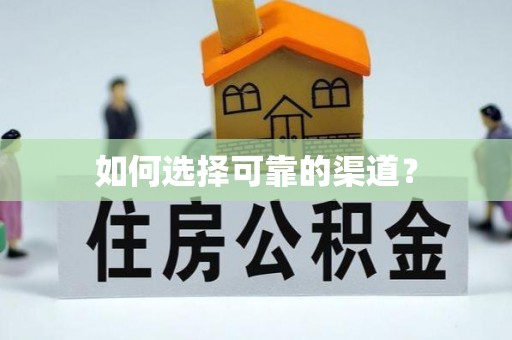 青阳如何选择可靠的渠道？