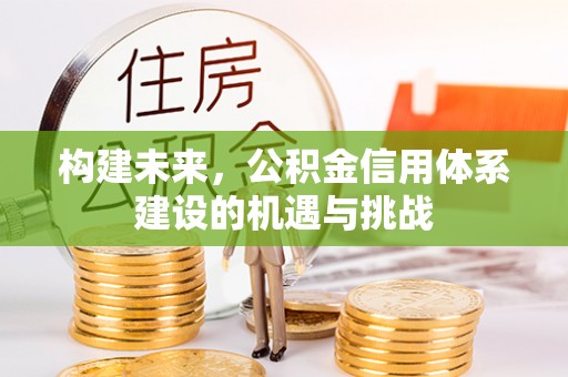 青阳构建未来，公积金信用体系建设的机遇与挑战