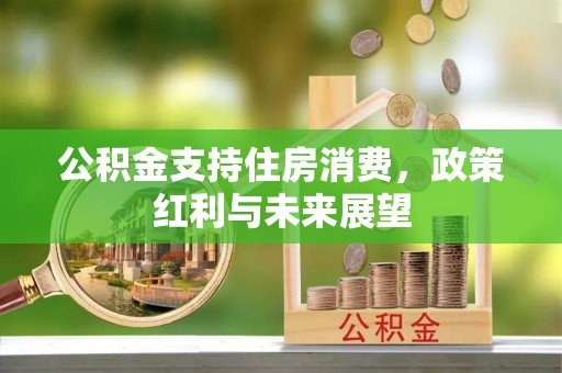 青阳公积金支持住房消费，政策红利与未来展望