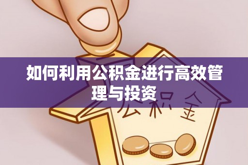 青阳如何利用公积金进行高效管理与投资