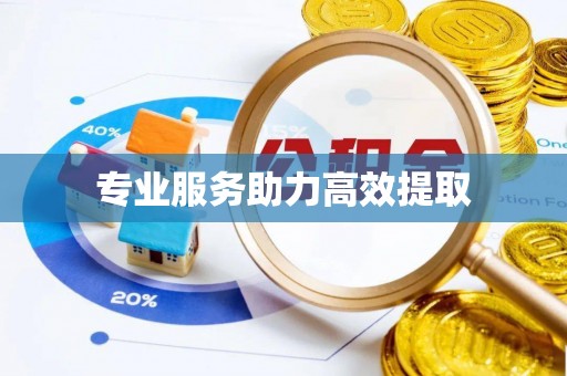 青阳专业服务助力高效提取